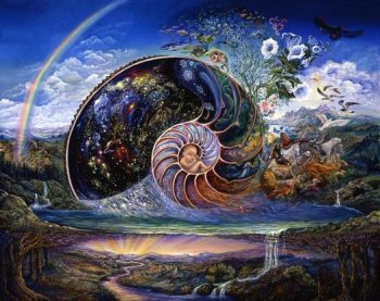 nautilus.jpg