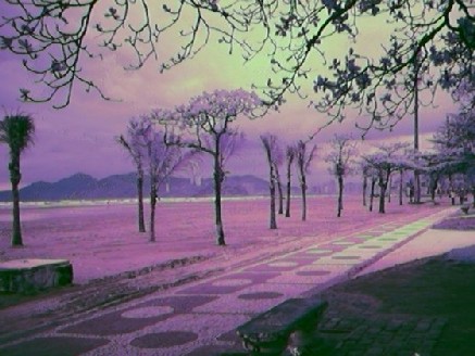 playa.jpg