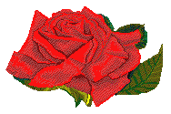 redrose2.gif