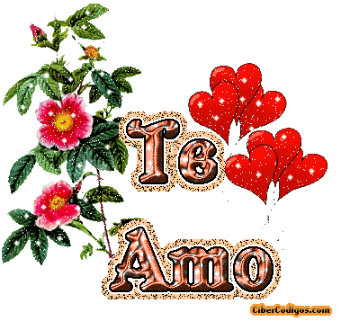 teamo4.gif