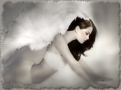 wings.jpg