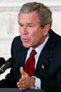 bush.bmp