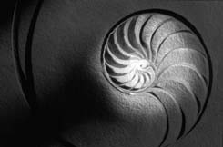 espiral.jpg