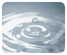 gota.gif