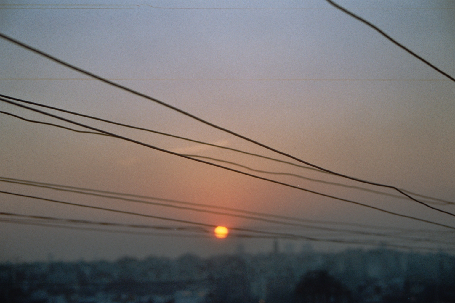 23_0011.JPG