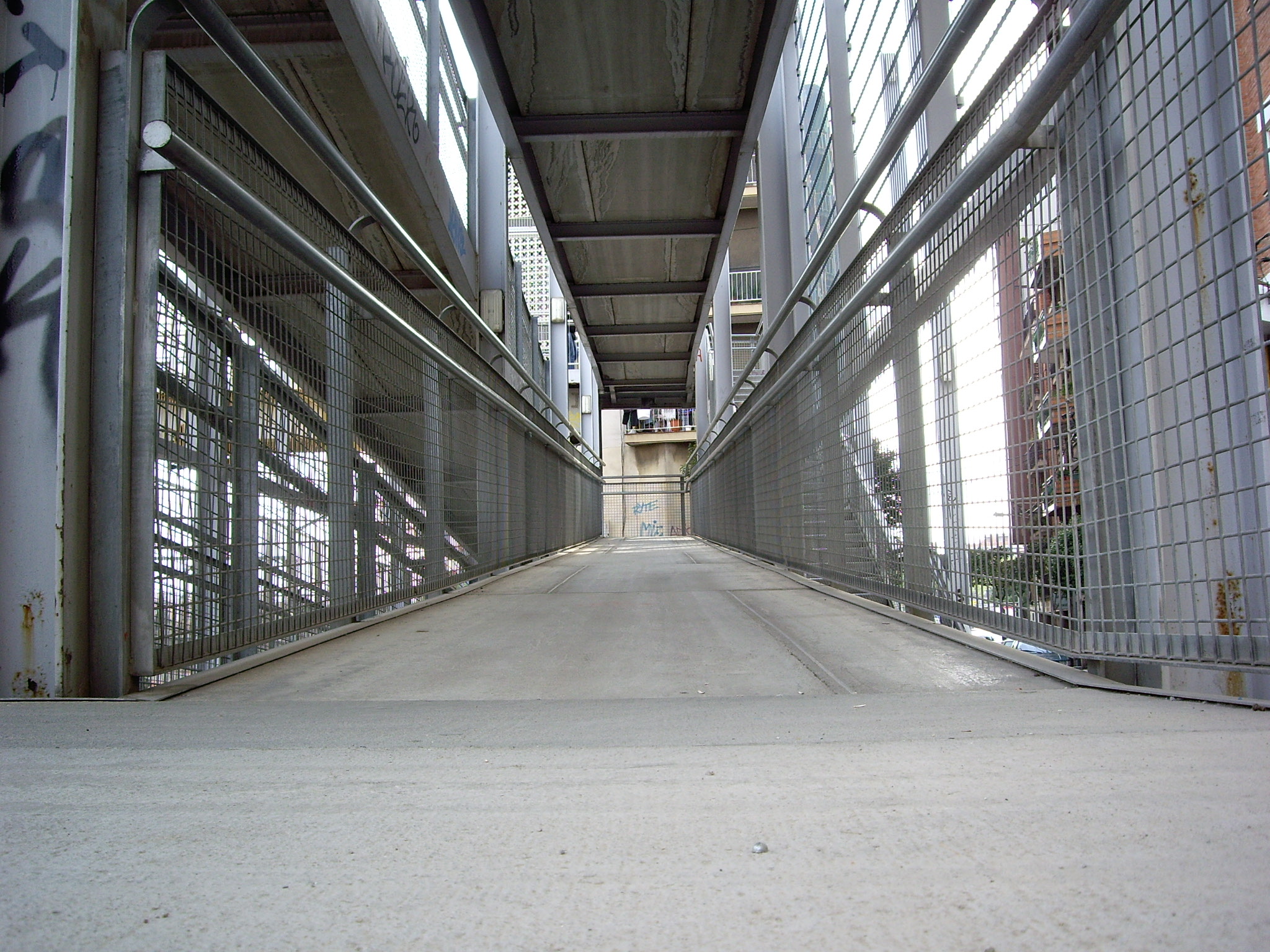 IMGP1075.JPG