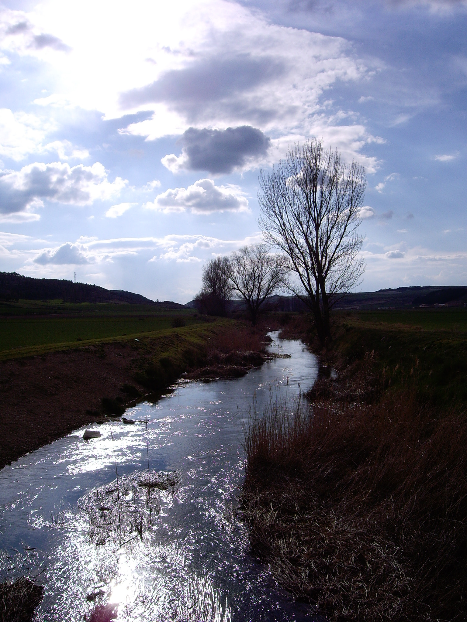 IMGP3985.JPG