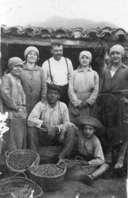 FOTOTECA-AVELLANA.jpg