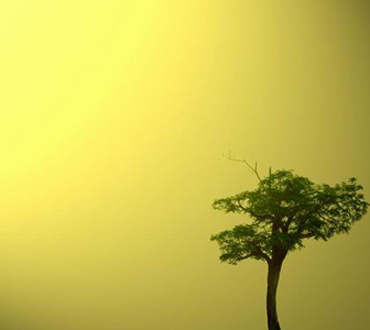 amanecer1_w.jpg