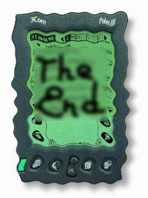 palm.jpg