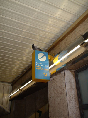 palomaviajera.jpg