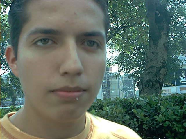 milcaras27.JPG