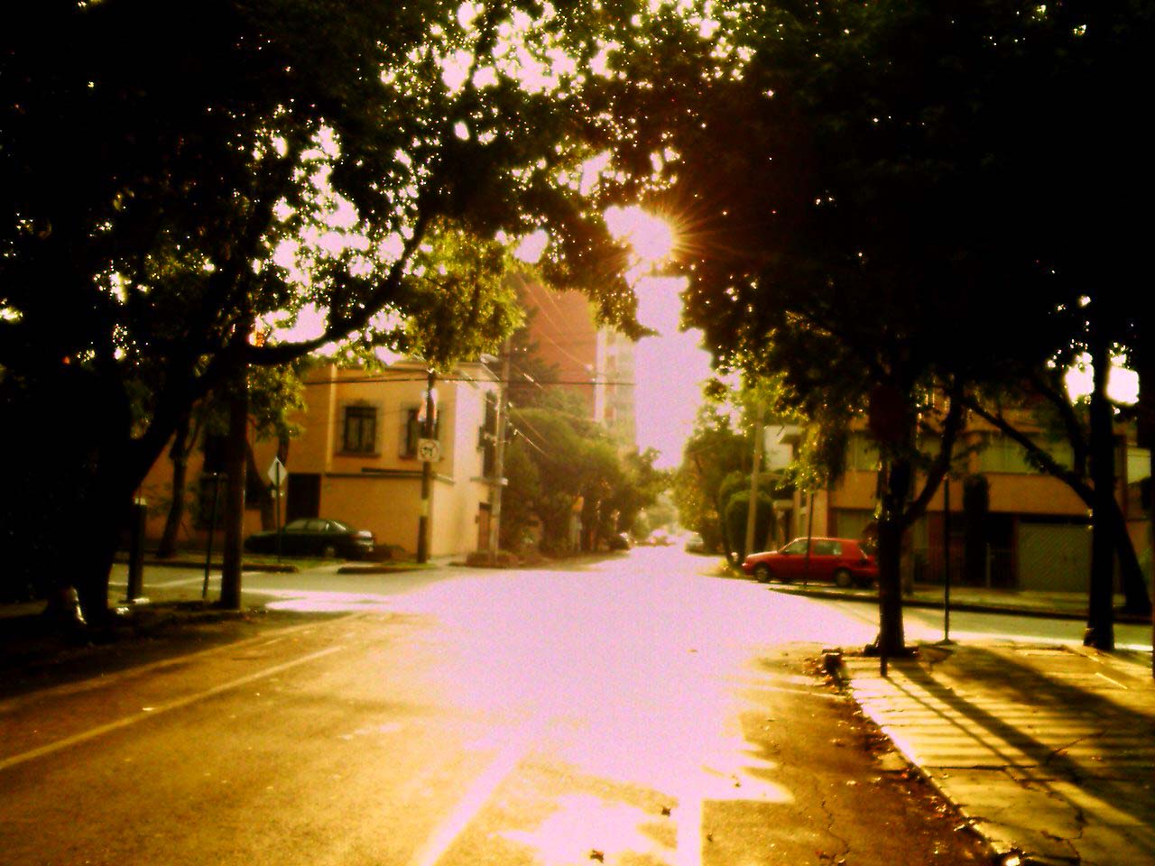 paisaje.JPG