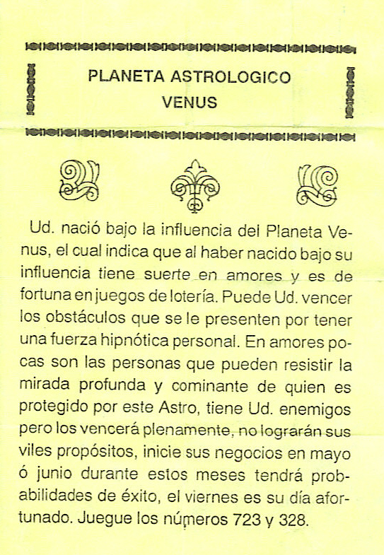 pajaroultimo.jpg