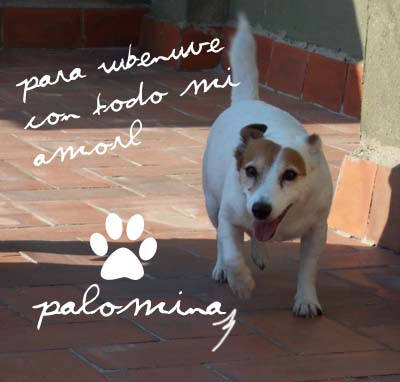 Lametones de amor, Palomina