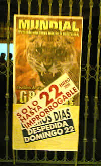 ¡El Grelión!