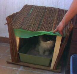 Si vuestro gato est� feliz...