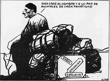 roto22.jpg
