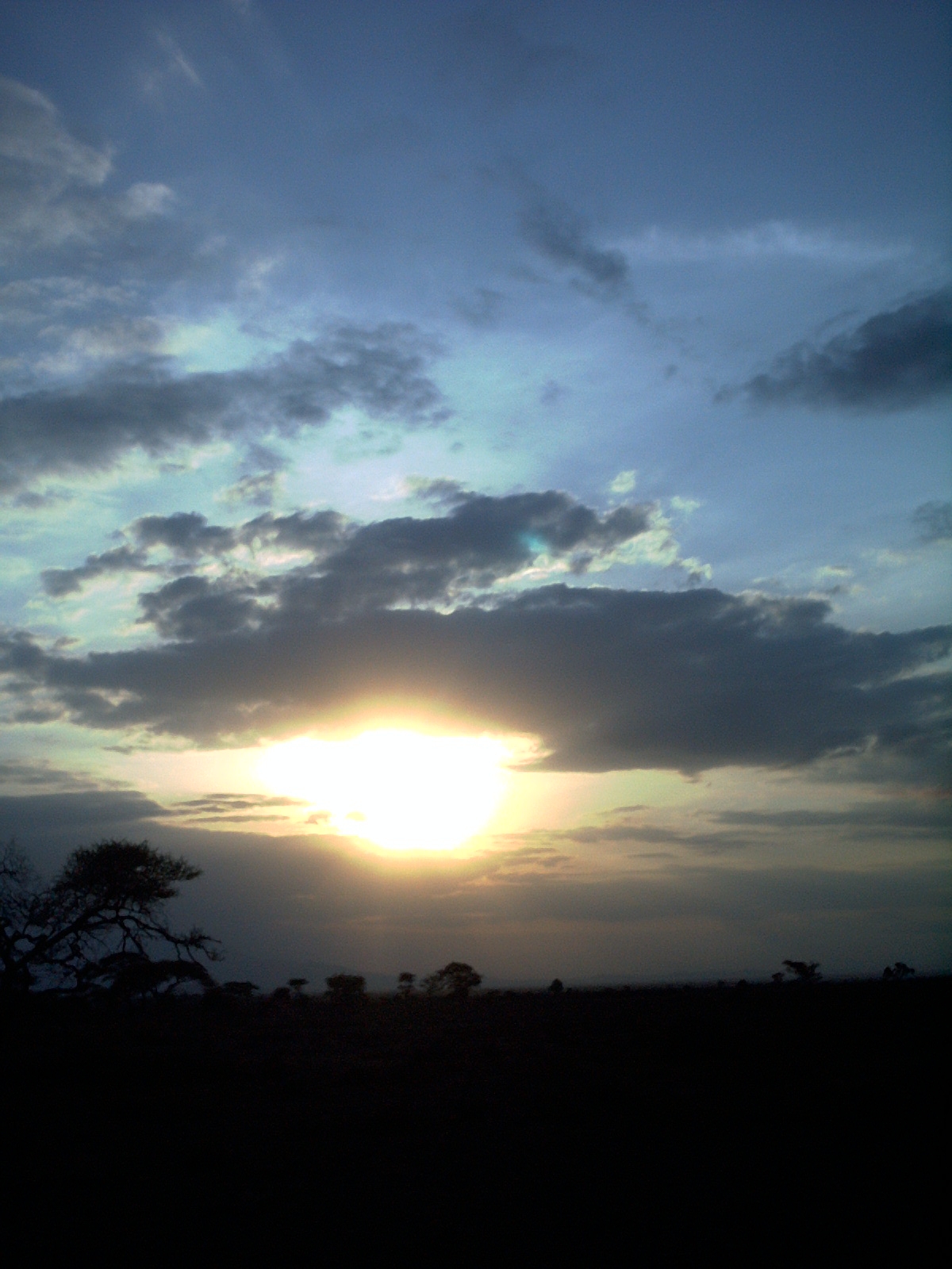 RIMG0015.JPG