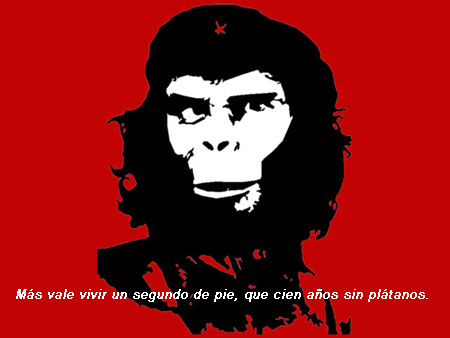 cheapt.JPG