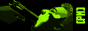 crom9.gif
