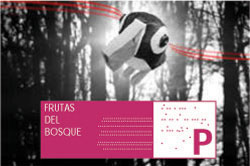 Pato-en-bosque-copy.jpg