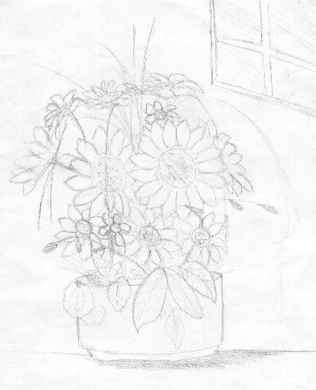 dibujo.jpg