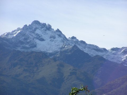 300706_4.jpg