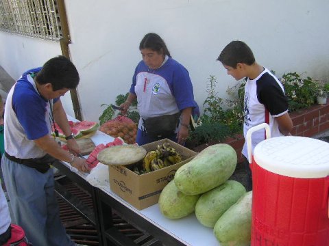 CEAP2.JPG