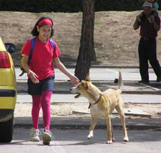HaciendoDePaparazzi_15_05.JPG