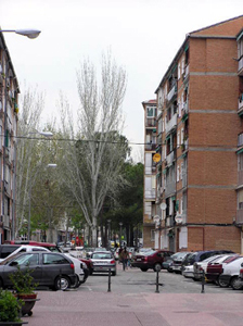 LoQueDejoElInvierno_16_04.jpg