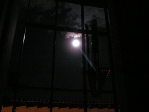 P1010054.JPG