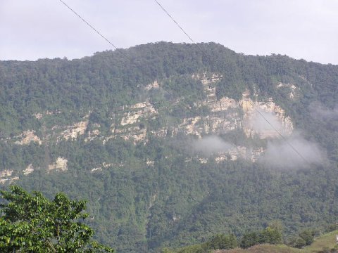 P1180030_blog.JPG