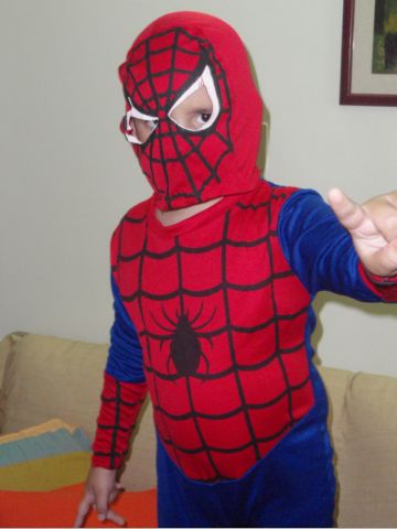 Spyderman.JPG