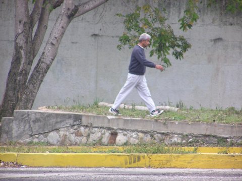 primercorte.JPG