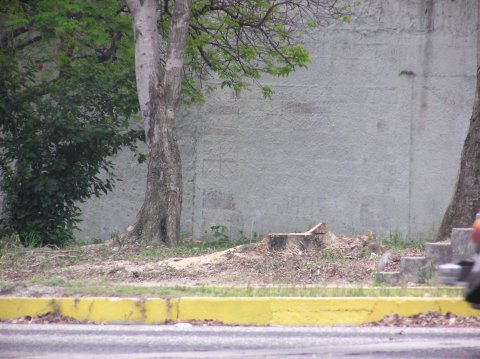 corte3.JPG