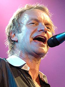 sting.jpg