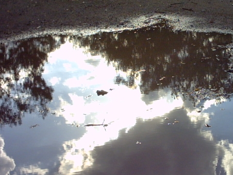 El cielo en el suelo