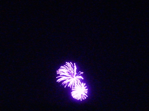 Fuegos Artificiales