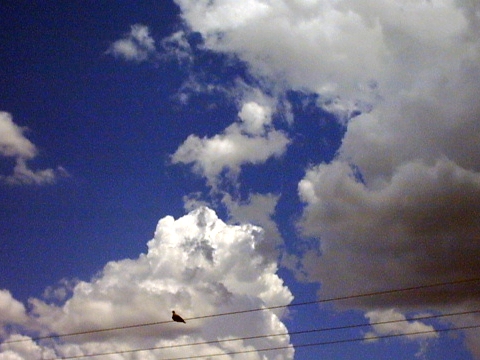 Nubes detrs de pajarito