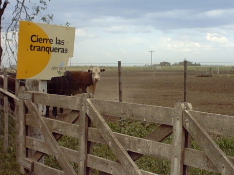 Tranquera Abierta