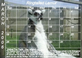 Lemur_14.jpg