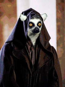 Lemur_5.jpg