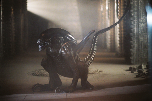 alien.jpg