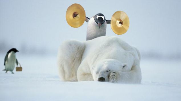 bravemrpenguin.jpg