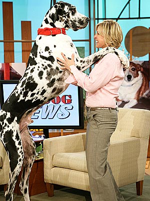 ellenconperro.jpg