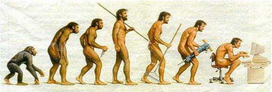 EVOLUCION.jpg