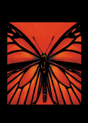 Mariposa.jpg