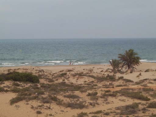 carabassi4_0743.jpg