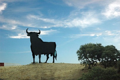 torito.jpg